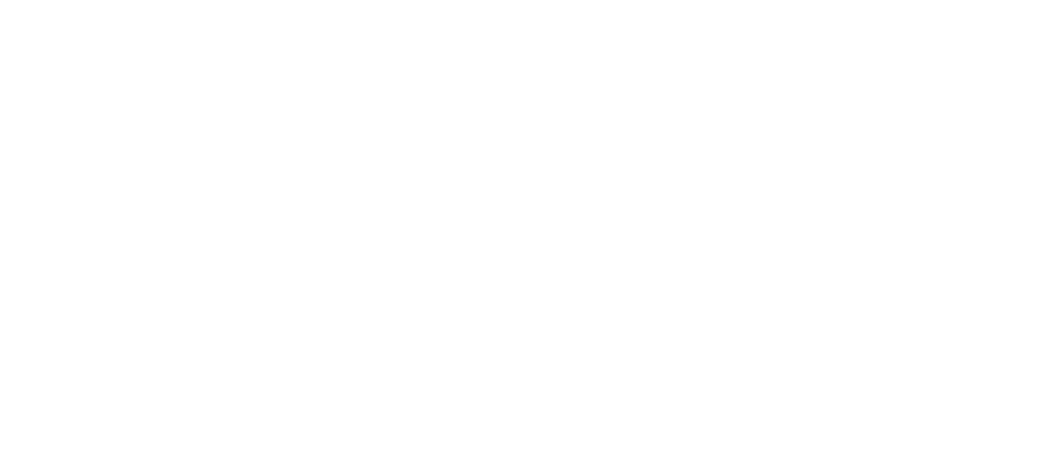 Elite Schoonmaakdiensten